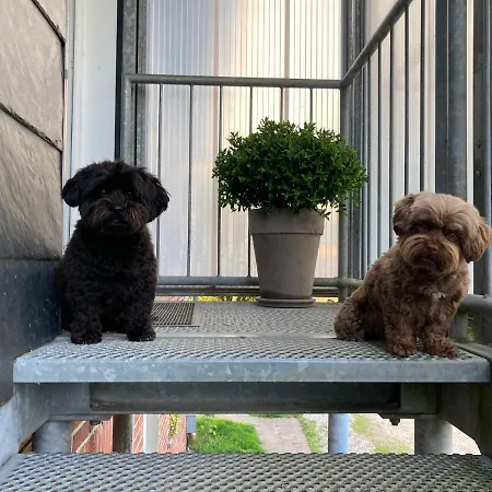 Hansecottage Lägenhet Stockelsdorf