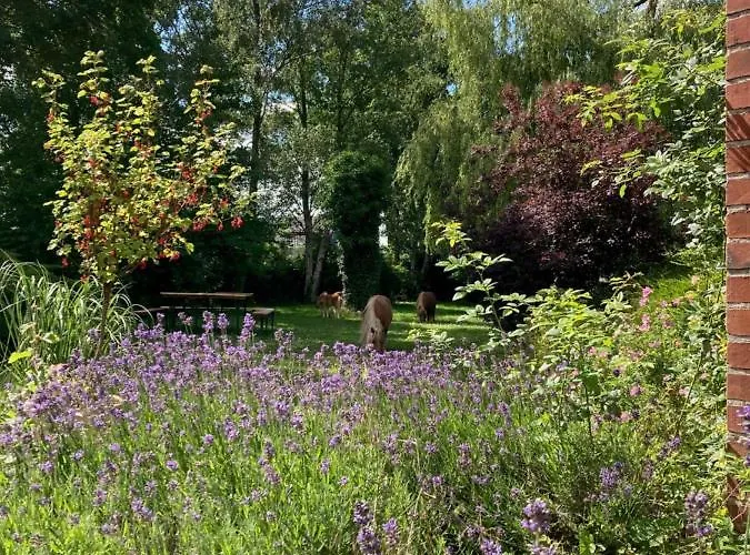 Hansecottage Apartamento Stockelsdorf