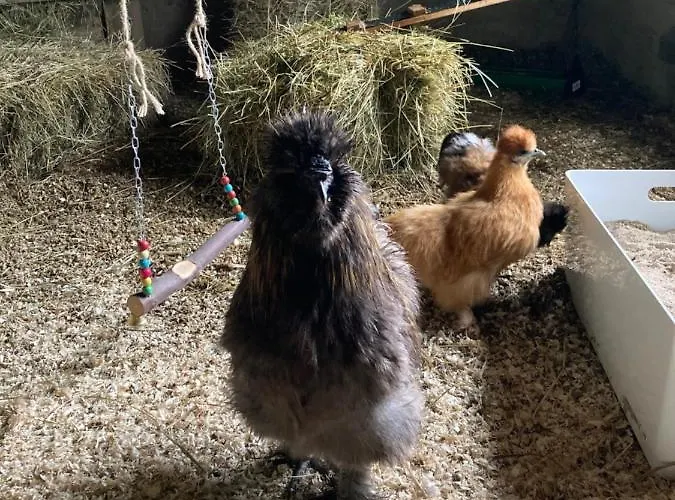 Hansecottage Apartamento Stockelsdorf