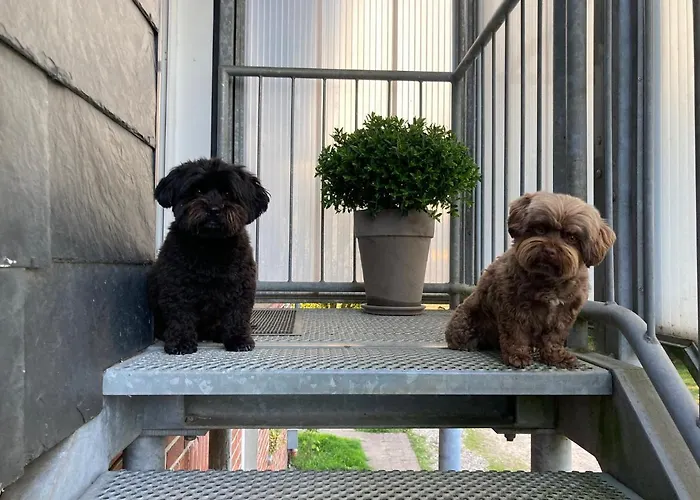 Hansecottage Apartamento Stockelsdorf